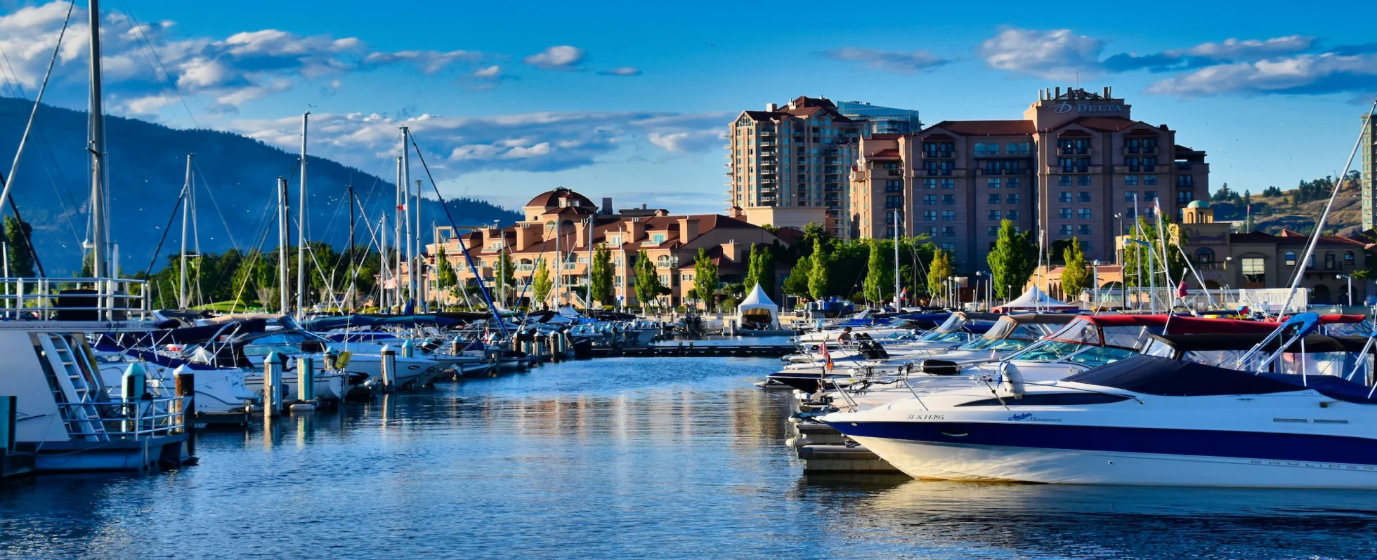 Professional Kelowna Moving Company 🌵 Cactus Moving